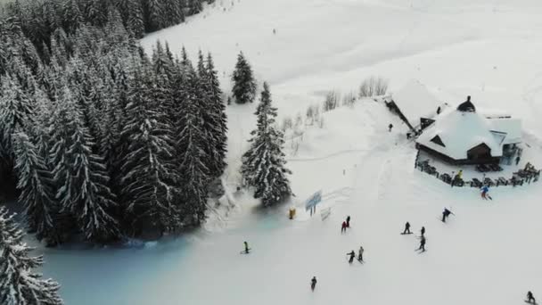 Paisaje de la estación de esquí de Cárpatos en invierno — Vídeo de stock