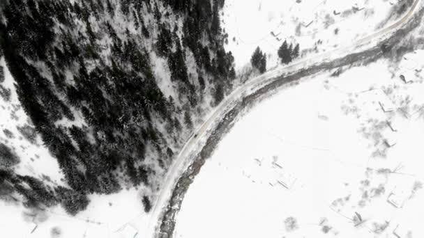 Aérea - Vista de arriba hacia abajo del camino vacío entre los pinos nevados — Vídeos de Stock