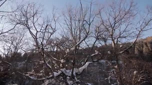 Slow Motion Aerial View Of River In Winter — Stock video