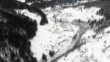 Aerial - Top down view of empty road between the snowy pine trees