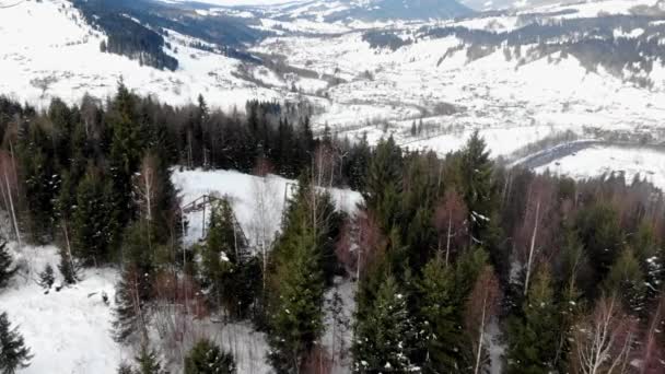 Flygdrönare utsikt i fjällskog. Vinterlandskap. — Stockvideo