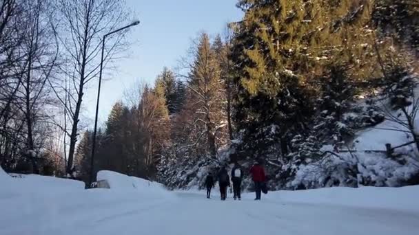 Point de vue du côté des lecteurs, véhicule conduisant sur route de montagne enneigée . — Video