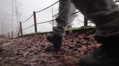 Hallstatt Gölü. Hallstatt Köyü 'nün muhteşem sabah görüntüsü