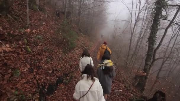 Λίμνη Χάλστατ. Υπέροχο πρωινό viev του χωριού Hallstatt — Αρχείο Βίντεο