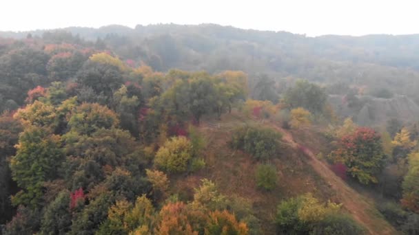 Shora dolů podzimní dřevo. Přírodní pozadí. Letecký pohled shora na podzimní les s barevnými stromy. — Stock video