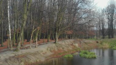 Sonbahar yaprakları yavaş çekimde düşüyor ve güneş sonbahar yapraklarında parlıyor.