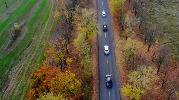 Розкішний автомобіль на дорозі на фоні поля — стокове відео