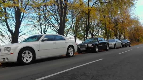 Πολυτελές αυτοκίνητο στο δρόμο στο παρασκήνιο πεδίο — Αρχείο Βίντεο