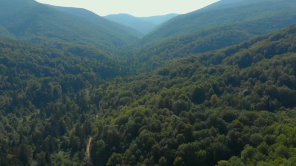 Reizen natuur drone schot in het prachtige Oekraïne — Stockvideo