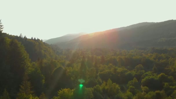 Reise-Natur-Drohne in der schönen Ukraine abgeschossen — Stockvideo