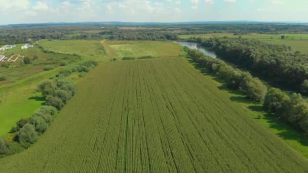 Reise naturdrone skutt i vakkert Ukraina – stockvideo