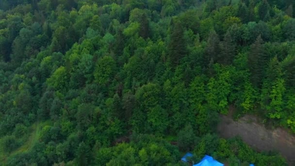 Travel nature drone shot in beautiful Ukraine — Stock Video