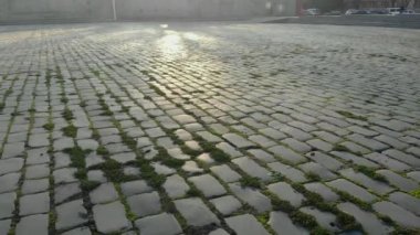 Büyüleyici bir şehir parkı manzarası