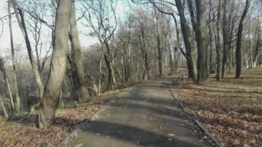 Büyüleyici bir şehir parkı manzarası