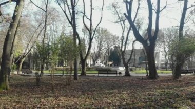 Büyüleyici bir şehir parkı manzarası