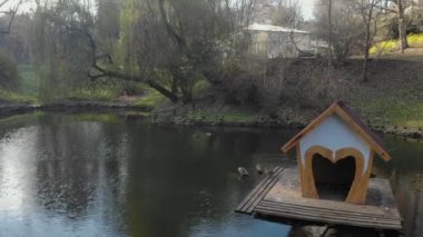 Büyüleyici bir şehir parkı manzarası
