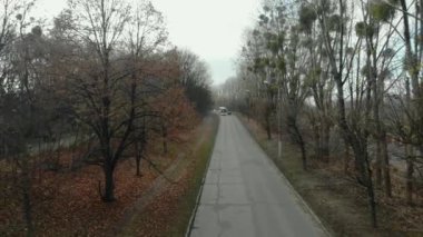 Büyüleyici bir şehir parkı manzarası