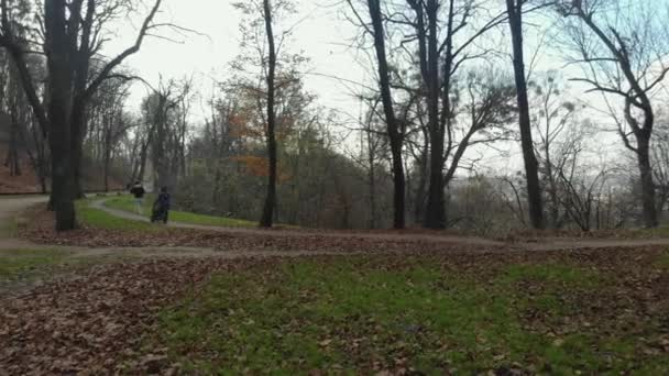 Zauberhafter Blick auf einen großen Stadtpark — Stockvideo