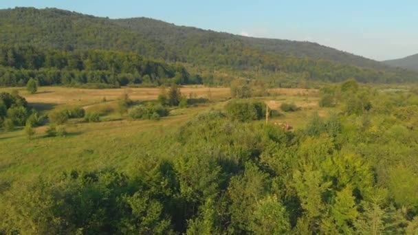 Ταξίδι φύση drone πυροβόλησε στην όμορφη Ουκρανία — Αρχείο Βίντεο