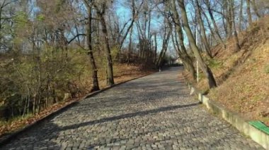 Büyüleyici bir şehir parkı manzarası