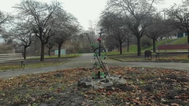 Monumento Ucrania en Lviv drone disparo — Vídeo de stock