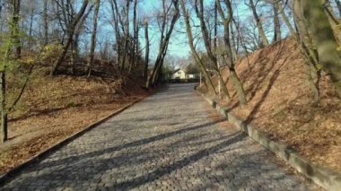 Büyüleyici bir şehir parkı manzarası