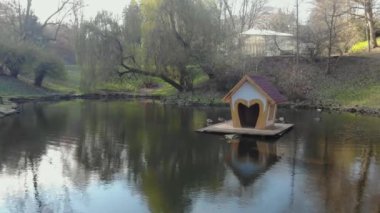 Büyüleyici bir şehir parkı manzarası