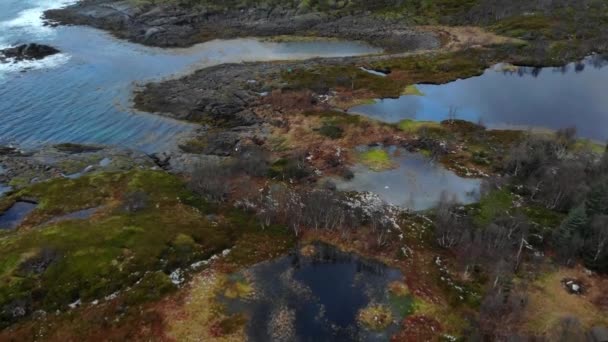 Norveç 'in doğası. Norveç fiyordunun üzerinde uçuyor — Stok video