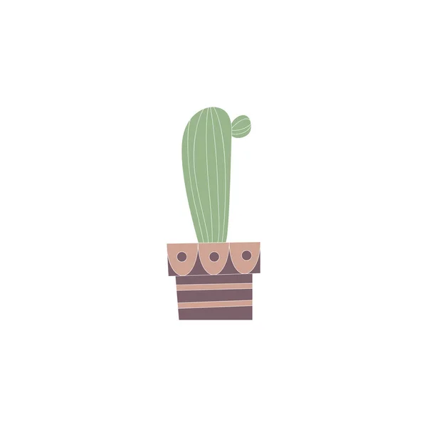 Illustrazione di un cactus dipinto a mano . — Vettoriale Stock