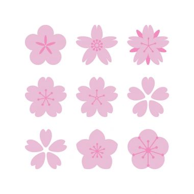 Sakura çiçekleri.