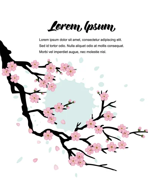 Rama de la floración Sakura — Vector de stock