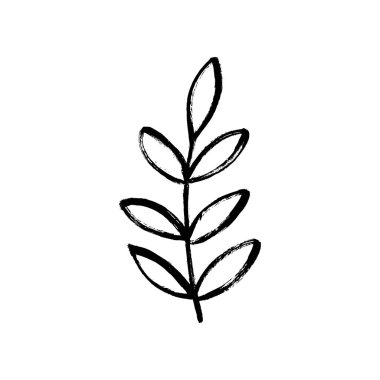 Kabataslak dal ve yaprakları