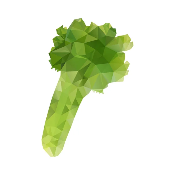 Veelhoekige groene selder — Stockvector