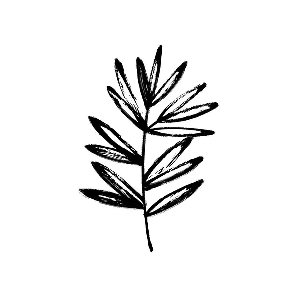 Načrtnuté větve a listy — Stockový vektor