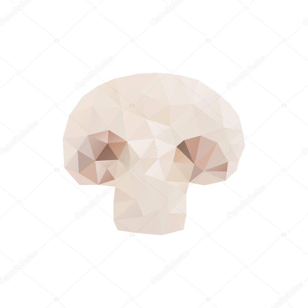 Polygonal champignon mushroom