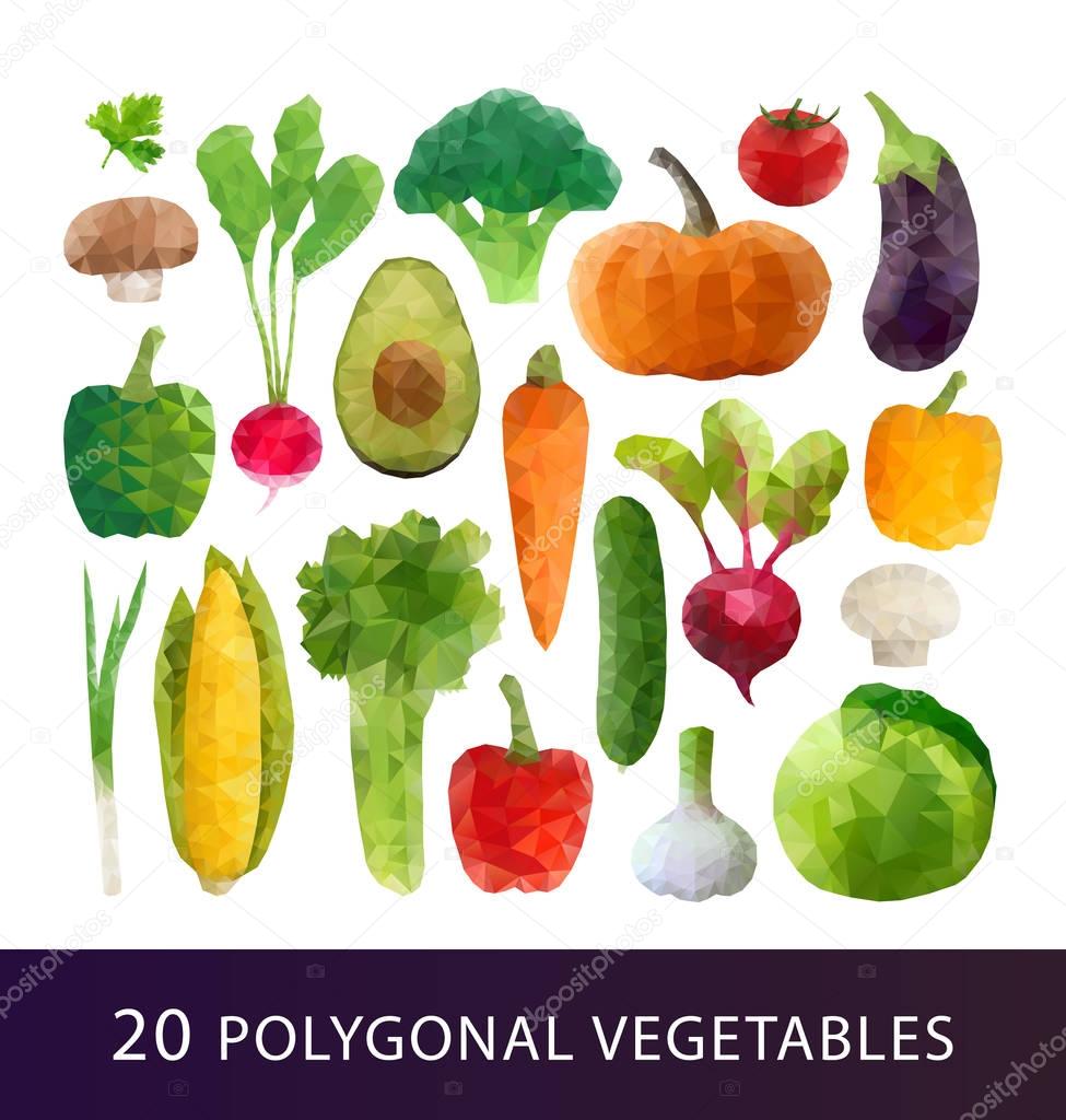 Set of Polygonal vegetables