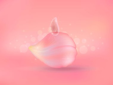 Rose petal pembe üzerinde