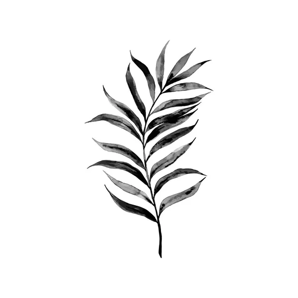 Hoja de palmera dibujada a mano — Vector de stock