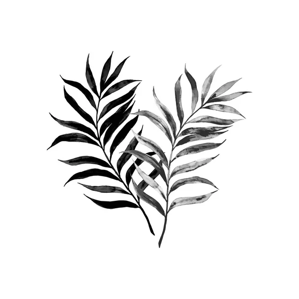 Feuilles de palmier — Image vectorielle