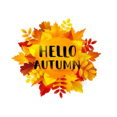 parlak sonbahar yaprakları