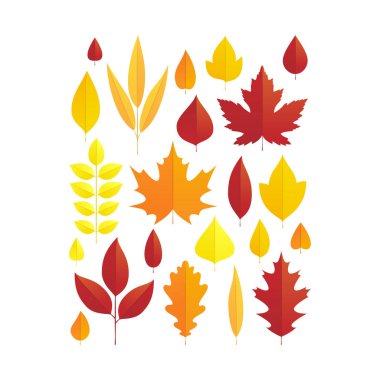 Parlak sonbahar yaprakları kümesi