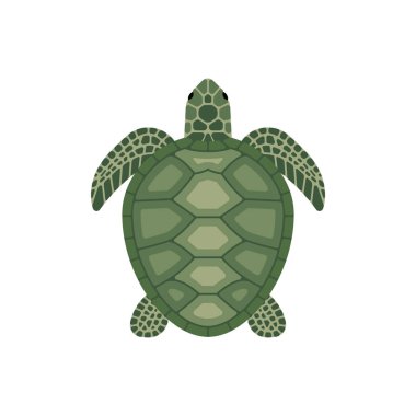 karikatür Yeşil Kaplumbağa