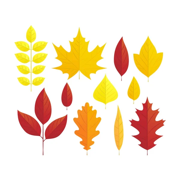 A fényes őszi levelek készlet — Stock Vector