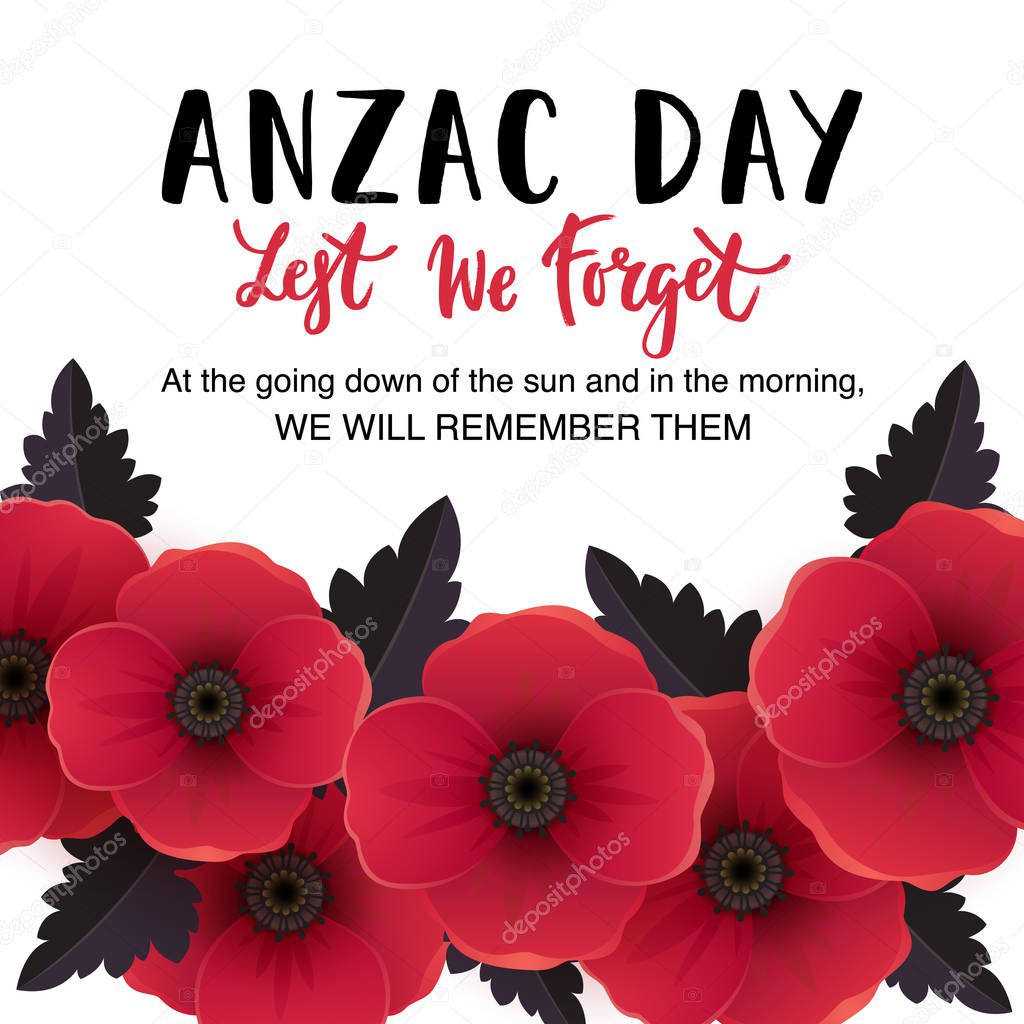 Remembrance day poster with poppies on white background