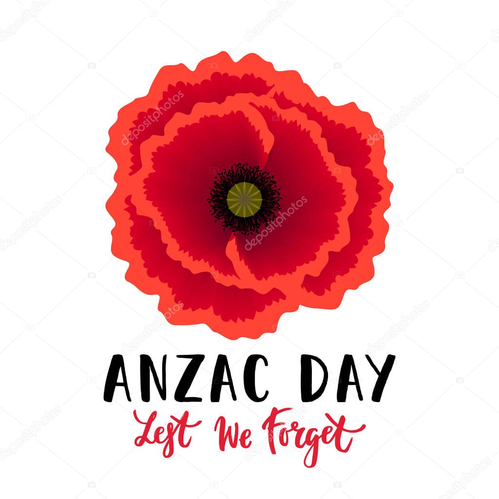 Vector illustration of a bright realistic poppy flower. Remembrance day symbol. Lest we forget lettering. Anzac day lettering.