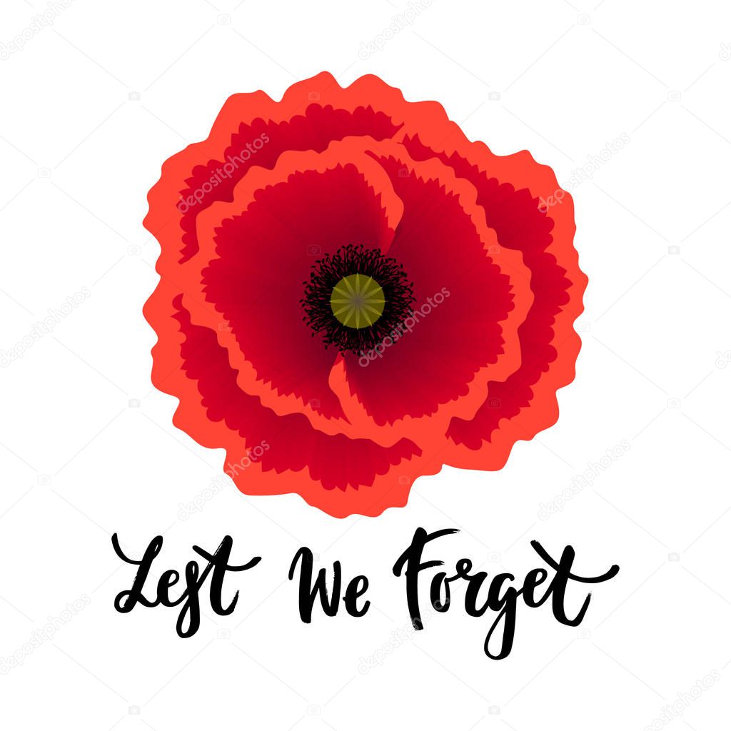 Vector illustration of a bright realistic poppy flower. Remembrance day symbol. Lest we forget lettering. 
