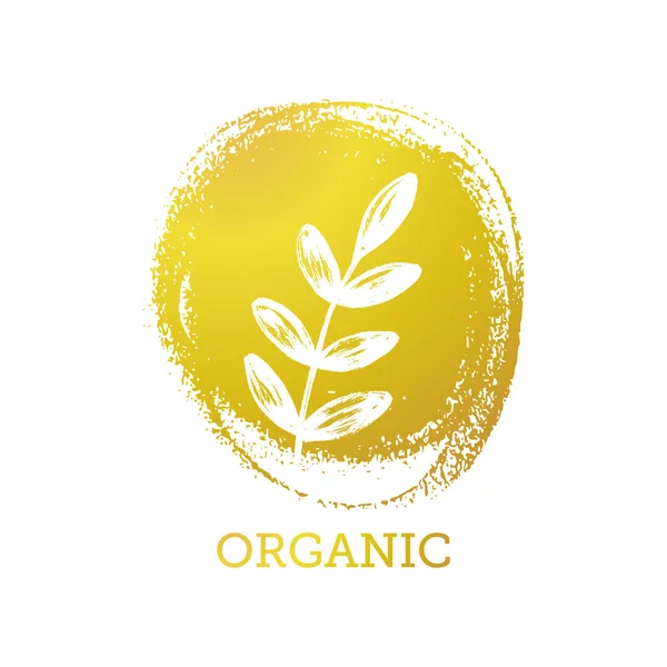 Diseño Del Logo Vectorial Sobre Fondo Pintura Logotipo Botánico Dibujado — Vector de stock