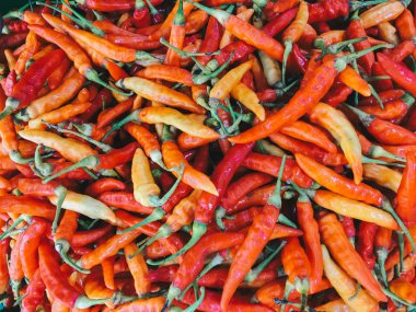 Kurutulmuş kırmızı biber, üst görünüm, arkaplan ve doku