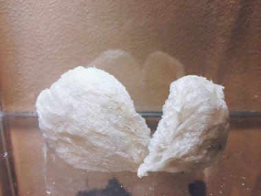 Çiğ kırlangıç kuşu yuvası. Birinci sınıf. Bir çeşit Çin yemeği.