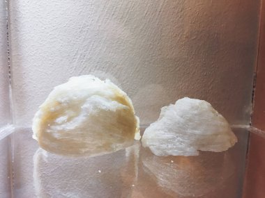 Çiğ kırlangıç kuşu yuvası. Birinci sınıf. Bir çeşit Çin yemeği.